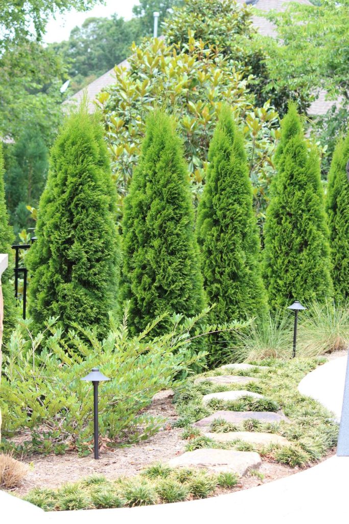 Residential Garden 8 Sharon K Hopper Fine Gardening