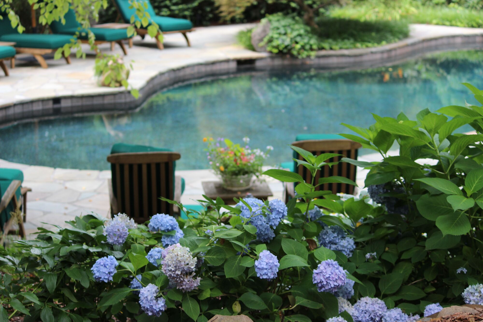 Sharon K Hopper Fine Gardening 15+ years of Garden Services and